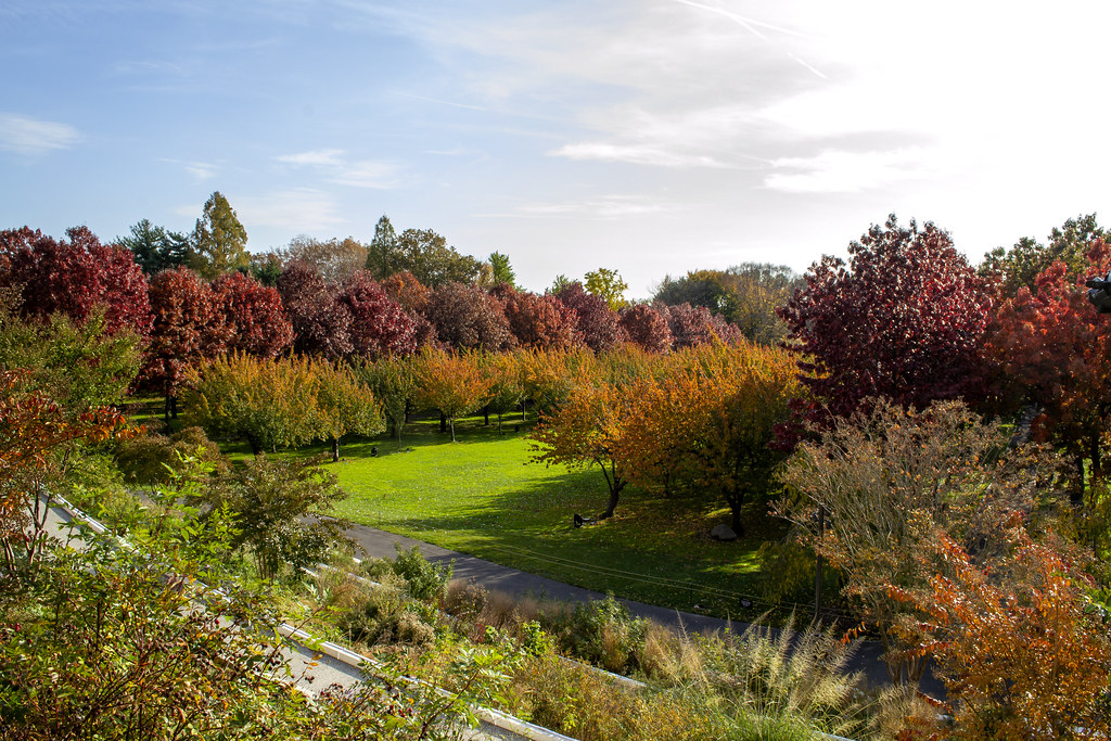 Brooklyn Botanic Garden in fall