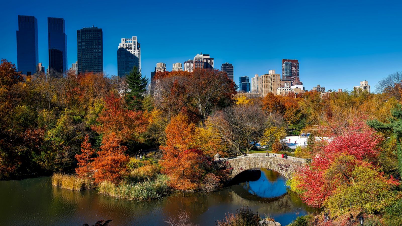 Fall foliage in New York City with autumn colors over a park path